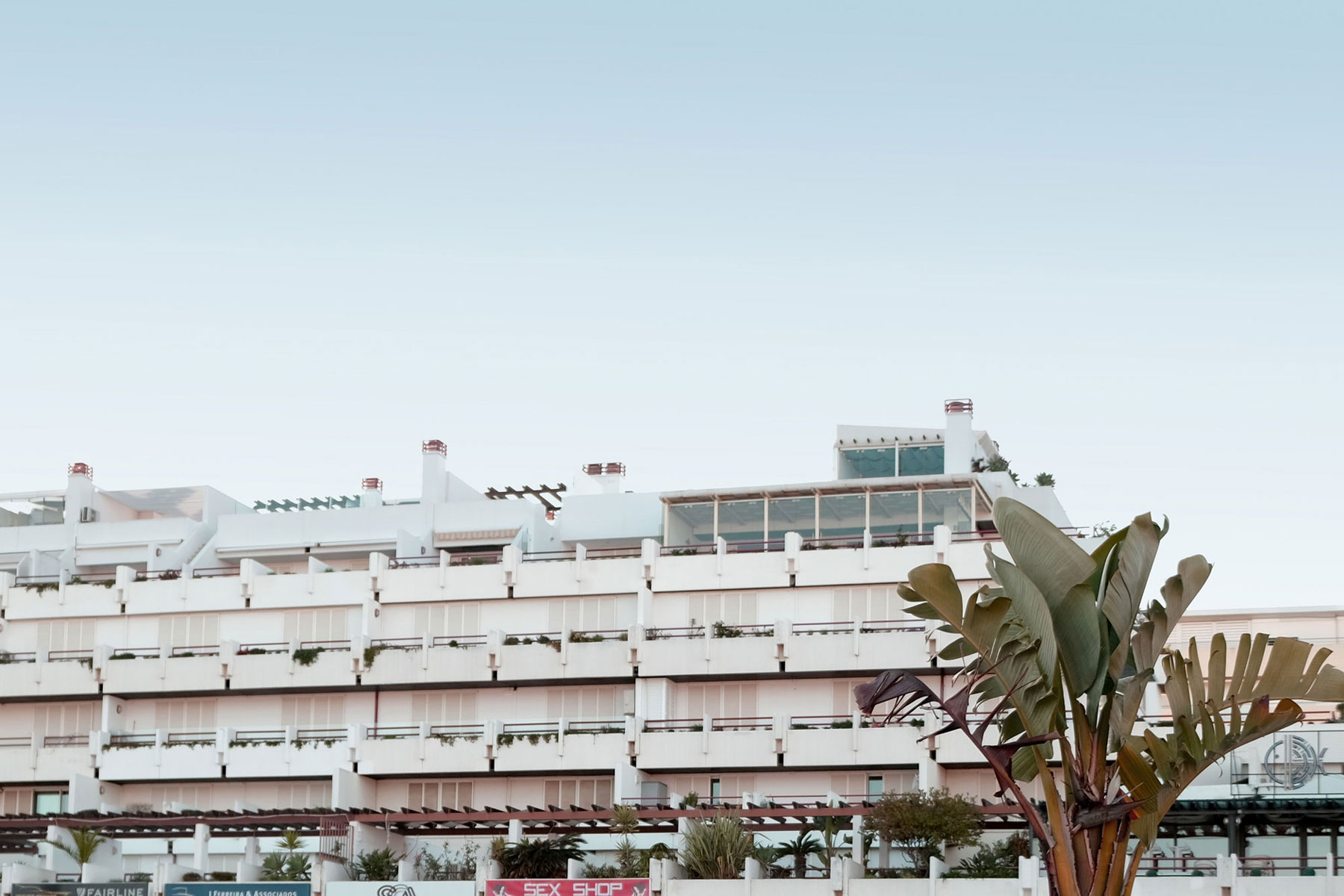 Architekturfotografie einer Hotelfassade mit Plame im Vordergrund in Portugal