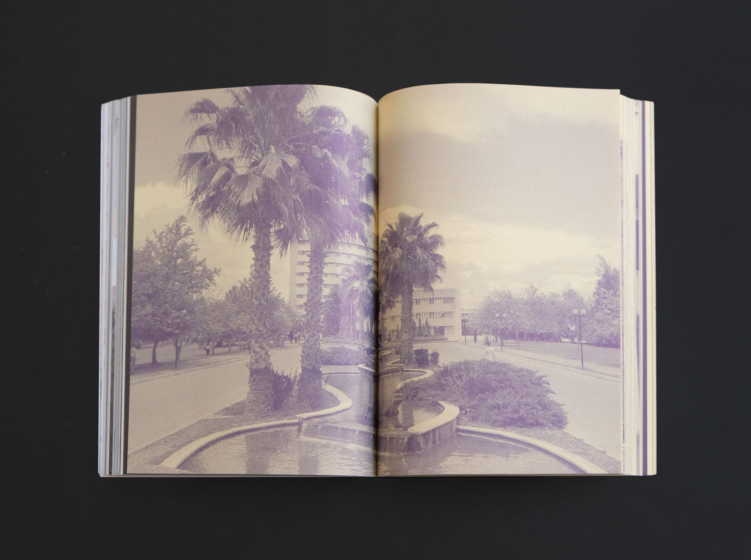 Doppelseite mit Palmenmotiv